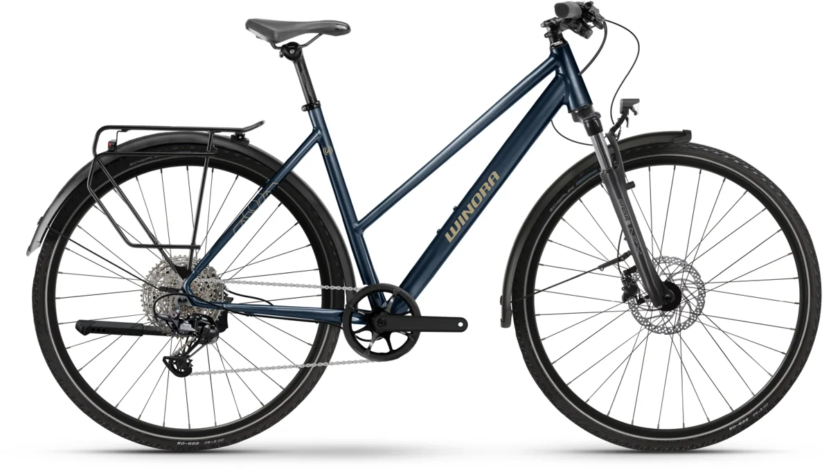 Winora Domingo X12 Pro — Cavalry Glänzend, maat L